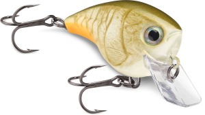 Poissons nageurs