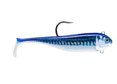 Biscay Minnow